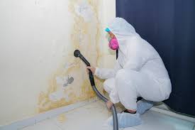 Why You Should Choose Our Mold Remediation Services in Awendaw, SC